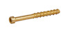 Guldfärgad skruv med platt huvud och torx-spår, delvis gängad med slät yta nära huvudet.