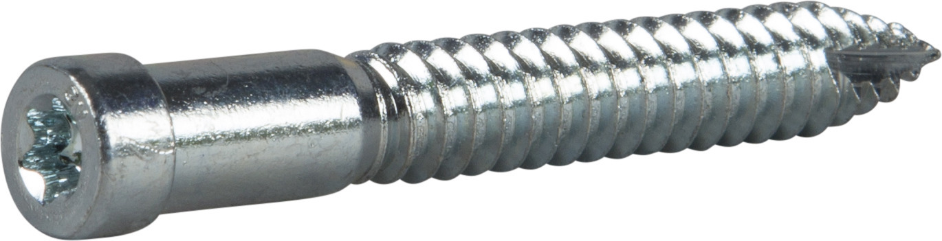 TRÄSKRUV INDU-PROG FZB TX30 8X58 100ST - ESSVE