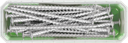 Silverfärgade träskruvar i en genomskinlig plastlåda med grönt inlägg.