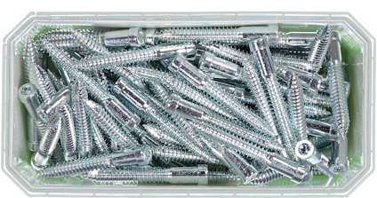 Silverfärgade skruvar i en rektangulär plastlåda.